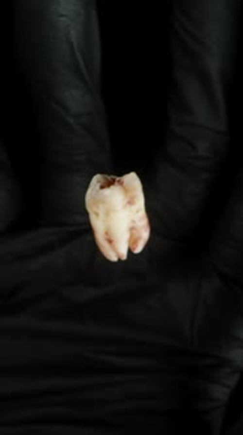 Vertical video. Gloved Hand in Black Catches a Bloodied Tooth, Top View Slow Motion.