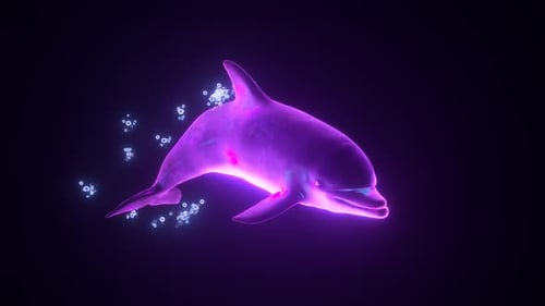 3D-Endlosschleife mit holographischem Neondelfin