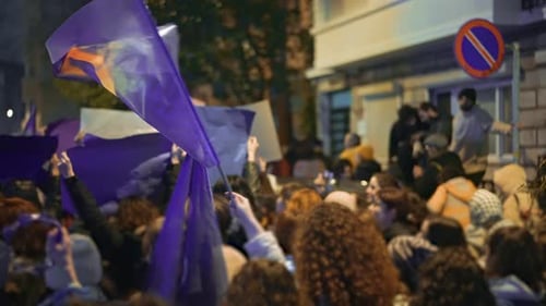 Woman Wave Feminists Flag Protest March Feminism Symbol Female Demonstration
