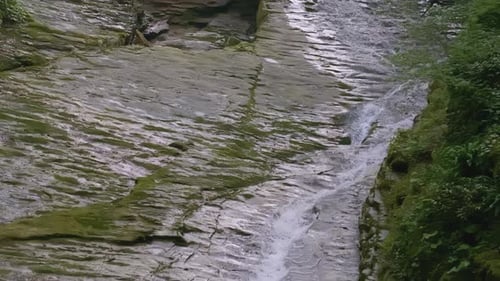Mountain River in the Jungle