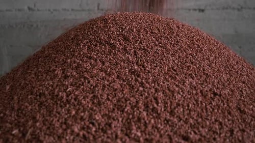 Red Wheat Seeds Piling Close Up