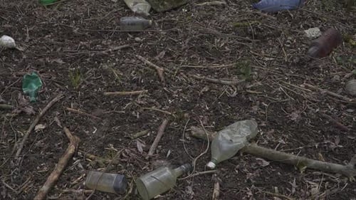 Environmental Pollution: Littered Forest Floor with Plastic Waste