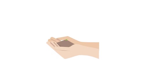Animated Hands Holding Growing Plant Flat Design