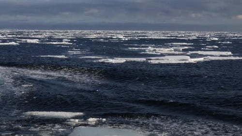 Panoramic View of Floating Sea Ice in the Deep Blue Ocean