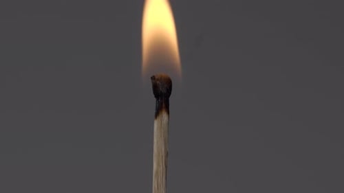 A Matching Stick With Fire Slowly Burning Until It Dies. -close up shot