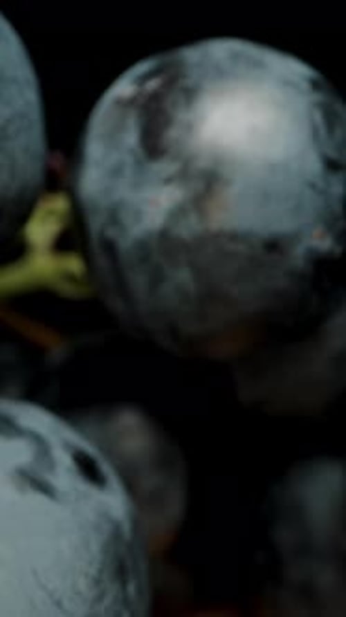 Vertical video. Clusters of black grapes lying on a wooden table against a black background.