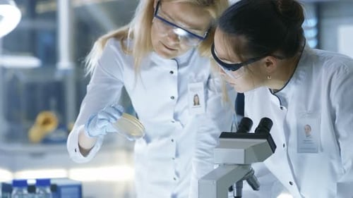 Scientists Inspecting Bacteria Cultures in Laboratory Setting