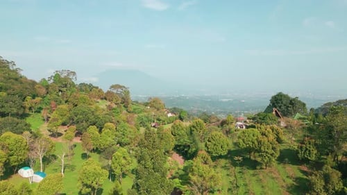 Tropical Forest Park