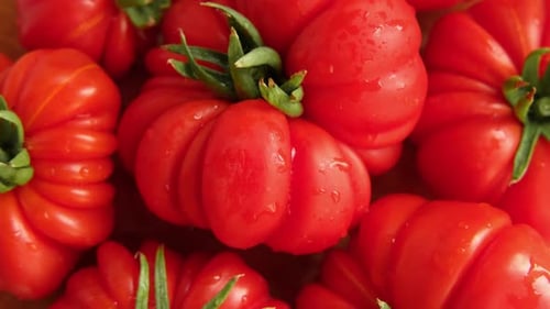 Delicious Red Tomato Background Vegetable Market Agriculture Organic Farm Fresh Wet Tomatoes