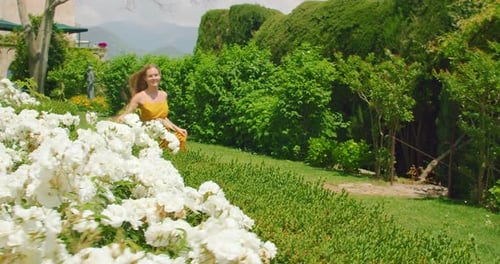 A woman in a yellow dress walks through a blooming rose garden., People Stock Footage ft. woman & roses - Envato A woman in a yellow dress walks through a blooming rose garden., People Stock Footage ft. woman & roses - Envato