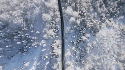 Aerial View of Scenic Road Winding Through Snowy Winter Mountain Forest