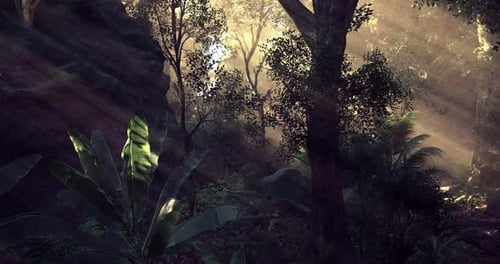 Sunlight Filters Through Trees in a Lush Forest at Dawn