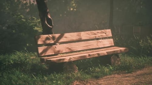 Wooden Bench in a Serene Park Surrounded By Lush Greenery