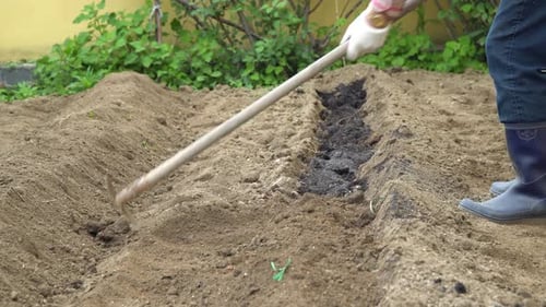 Tilling Soil At The Garden With A Shovel. Soil Preparation Before Planting. static shot