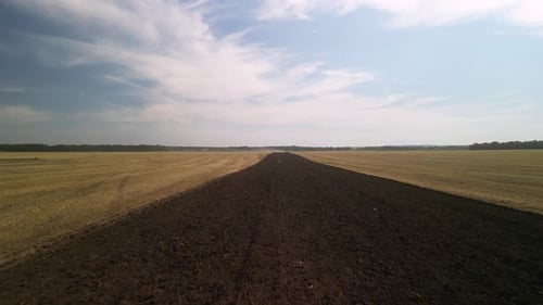 Wheat field aerial view in Ukraine
