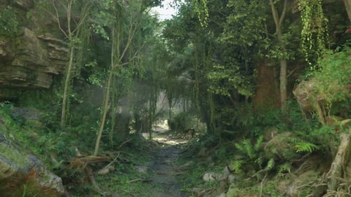 A Scenic Dirt Road Winding Through a Forested Landscape Mountain Path