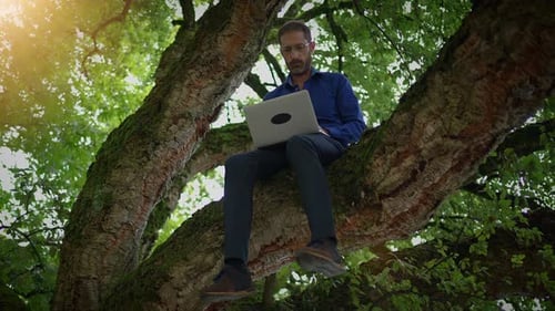 Man Working on Laptop While Sitting in Tree