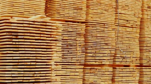 Stacks of Fresh Lumber