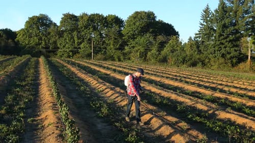 Farmers Working in Field Agricultural