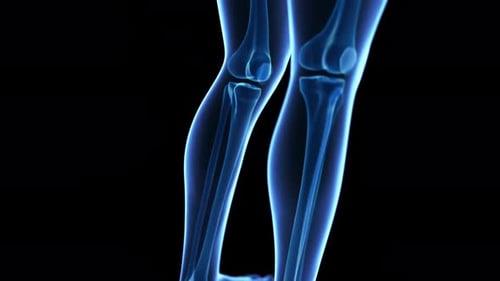 Anatomie des menschlichen Skelettsystems, das Knochen in Bewegung mit blauem Schimmer zeigt
