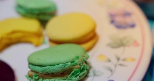 Assorted Macarons and Cake on Decorative Floral Plate