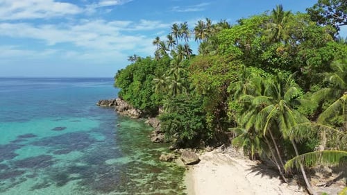 Tropical Beach with Turquoise Sea Water and Lush Green Palm Trees