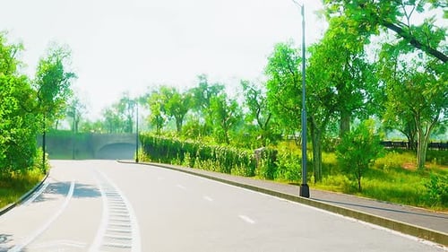 Photo of the Road Through the Middle of the Forest