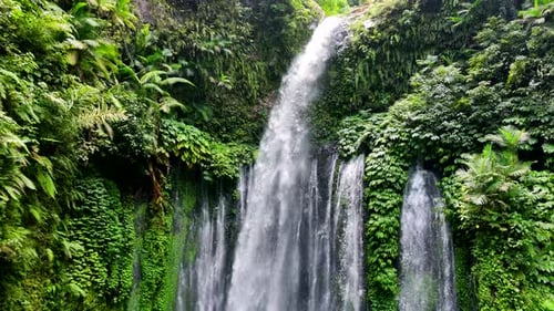Mountains of Indonesia.
