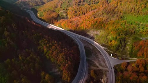 Autumn Forest Road - 2K