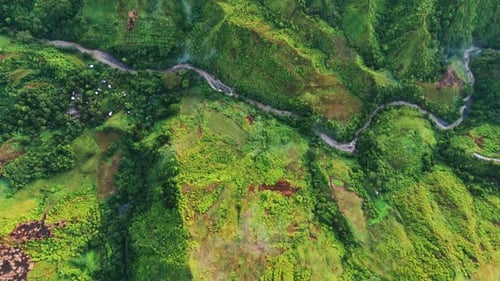 Vista aérea del sinuoso río a través del exuberante valle verde de las montañas