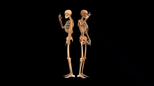 Gruß mit zwei Skeletten