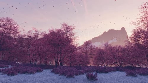 Butterflies Dancing in a Spring Forest