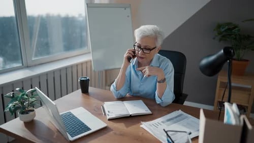Professional Woman Talking on Phone at Desk