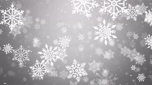 White Dust Particles Snow Fly in Slow Motion in the Air Background