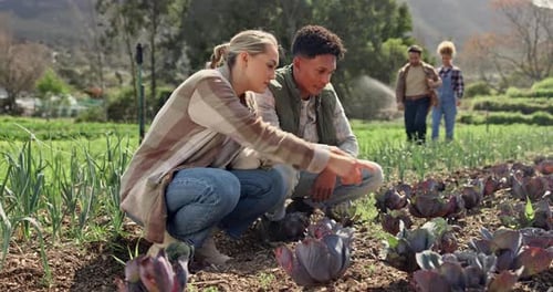 Discussão sobre fazenda, agricultura e pessoas com vegetais, colheita ou produtos frescos