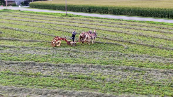 Aerial drone tracking shot of Amish farmer with horse drawn hay rake in ...