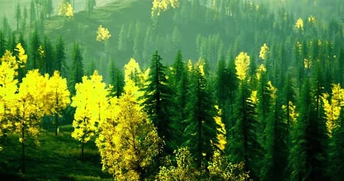 Vibrant Autumn Foliage Enhances Serene Mountain Landscape in Morning Light