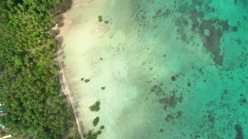 Aerial View of Sea Coastline with Emerald Water Waves Sandy Beach and Palm Trees Drone Flying Over