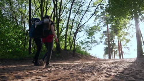 Hikers Friends Walking Together in Forest in Autumn Morning Healthy Lifestyle Active Pastime in