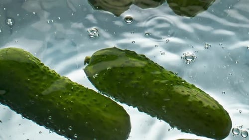 Closeup Organic Cucumbers Water Float in Light Background. Fresh Green Veggies Washing