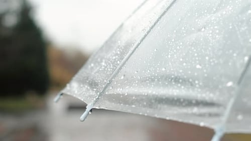 Closeup of a Transparent Umbrella Covered By Raindrops During Walking in an Autumn City Park in the