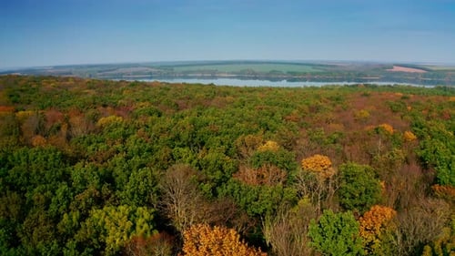 Amazing colorful foliage on river background. Green, red and yellow trees of the forest.