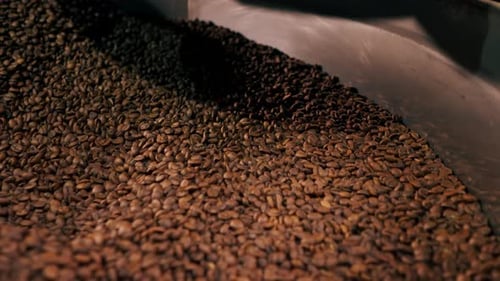 Closeup of a Coffee Roasting Factory Inside Drum Roasting Stirring Coffee