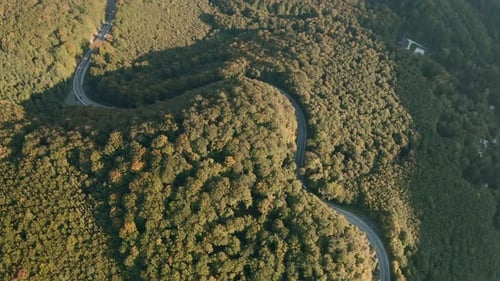 Aerial tilt down drone shot of cars driving on a winding heart-shaped mountain road in the middle of