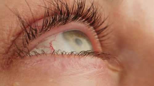 Close Up of an Eye and Long Eyelashes