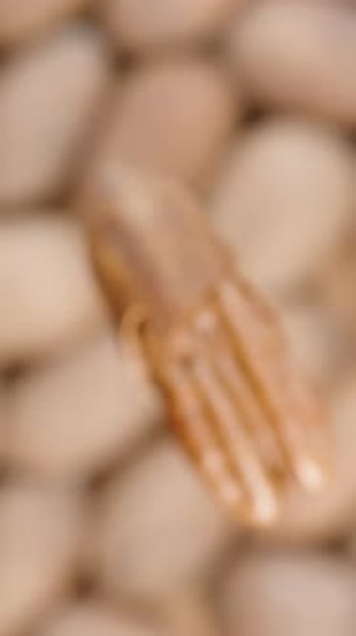 Vertical video. Focus Slowly Shifts to the Cracked Pecan Nut Rotating.