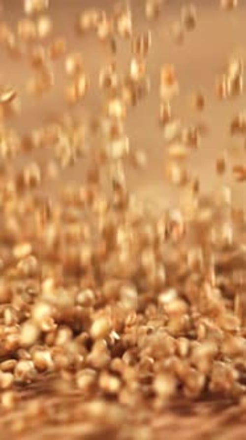 Chia Seeds Fall on the Table Filmed on a Highspeed Camera at 1000 Fps