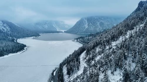 Slope of the mountain descending into the lake is covered pine tree woods.