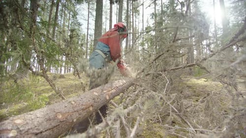 SLOW MOTION, BACKLIT - wood chips fly towards the camera lens, Sweden