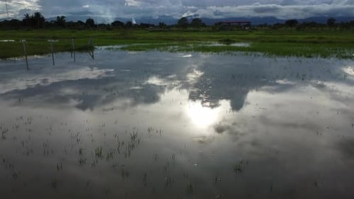 Aerial view of rice fields or agricultural areas affected by rainy season floods.